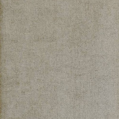 Fabric Sample- Hallandale Platinum DEFENDER