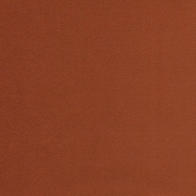 Fabric Sample- Mythic Rust