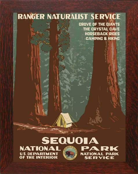 Sequoia National Park Poster