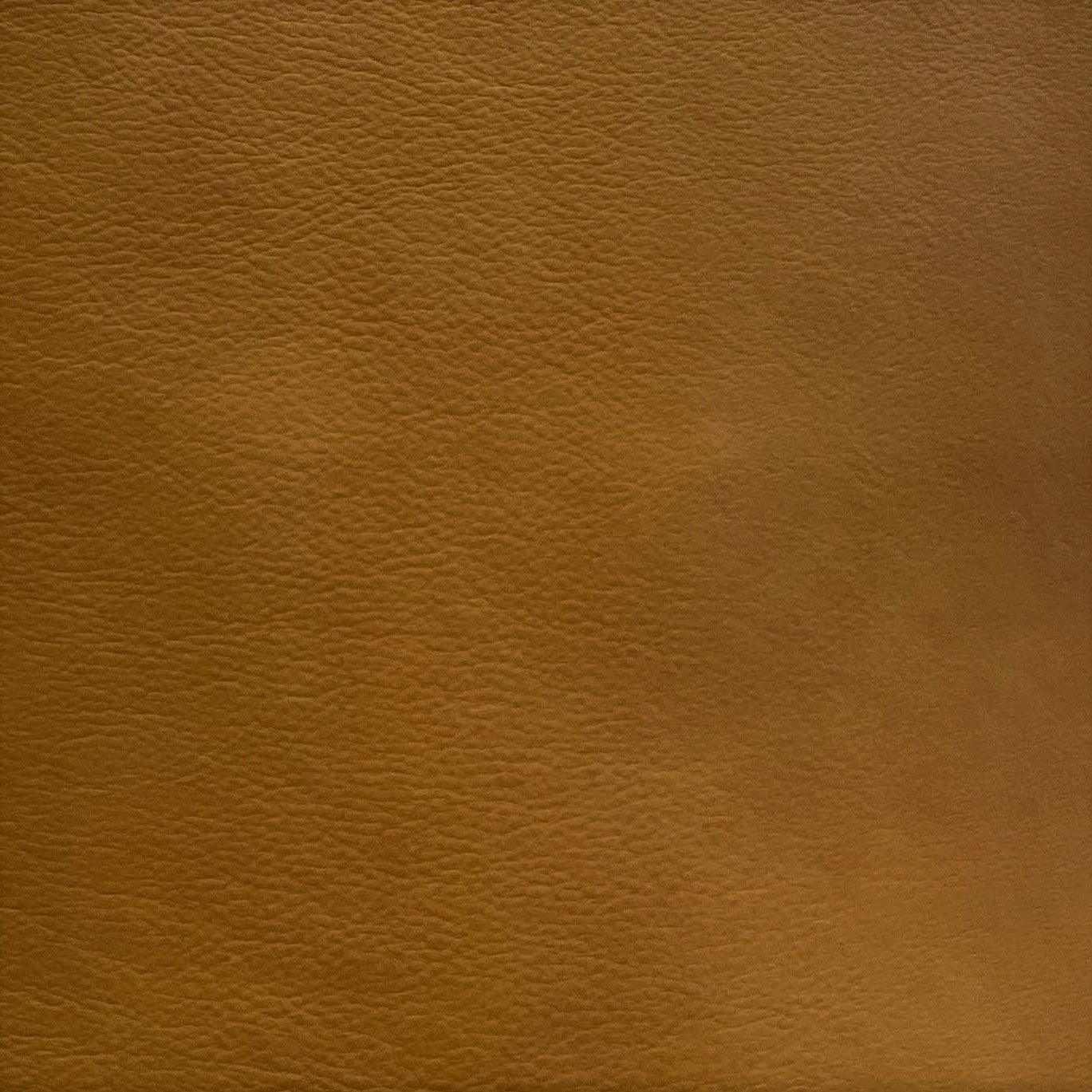 Leather Sample-Denver Palomino Protected Plus Samples Omnia