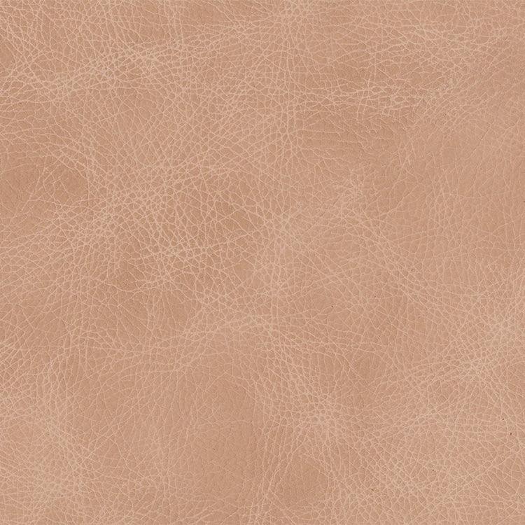 Leather Sample-Saloon Blush Aniline Leather Samples Omnia