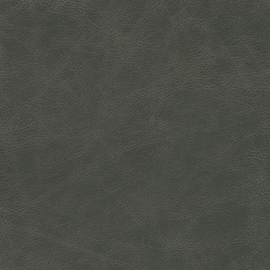 Leather Sample-Saloon Grey Aniline Leather Samples Omnia 