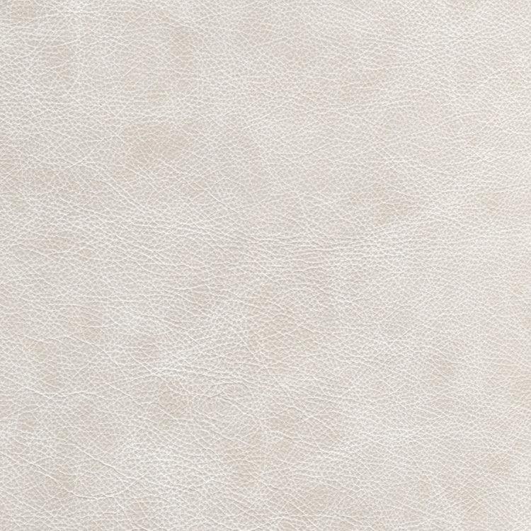 Leather Sample-Saloon Luna Aniline Leather Samples Omnia