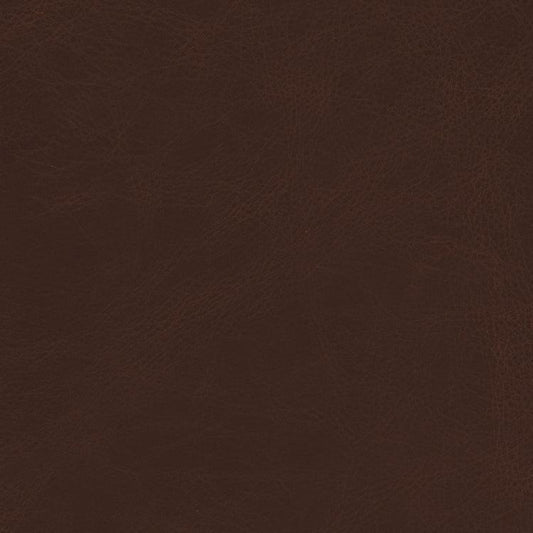 Leather Sample-Saloon Texas Aniline Leather Samples Omnia 