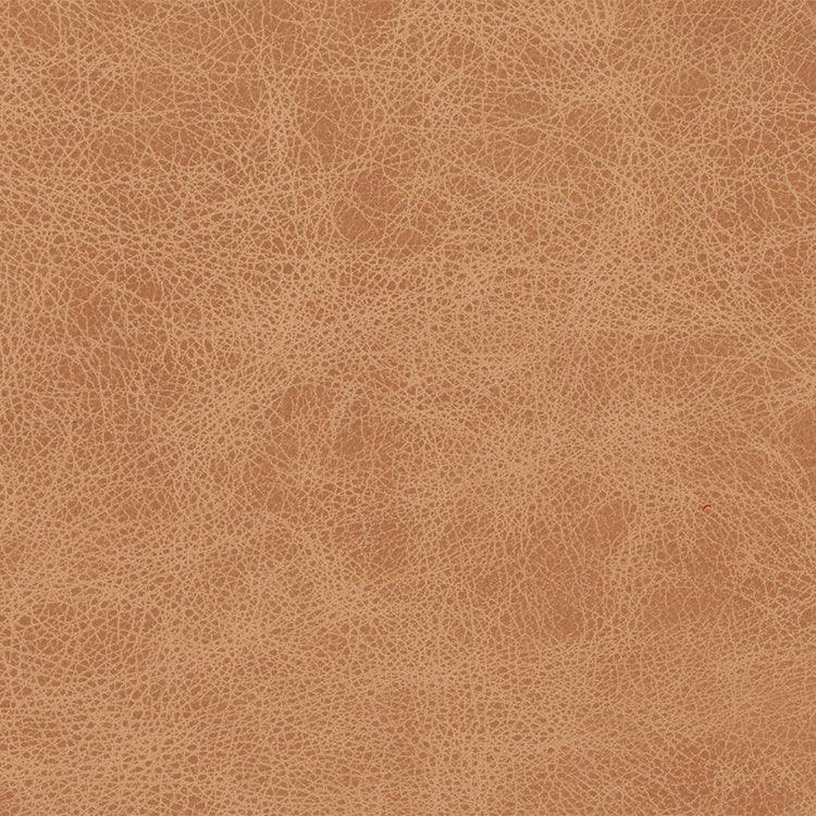 Leather Sample-Saloon Vanilla Aniline Leather Samples Omnia
