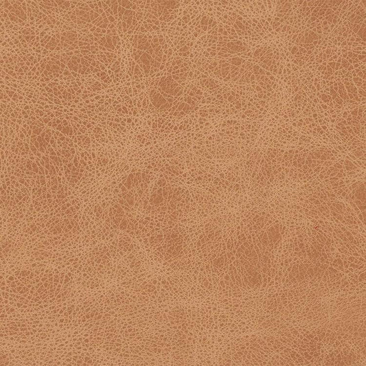 Leather Sample-Saloon Vanilla Aniline Leather Samples Omnia 