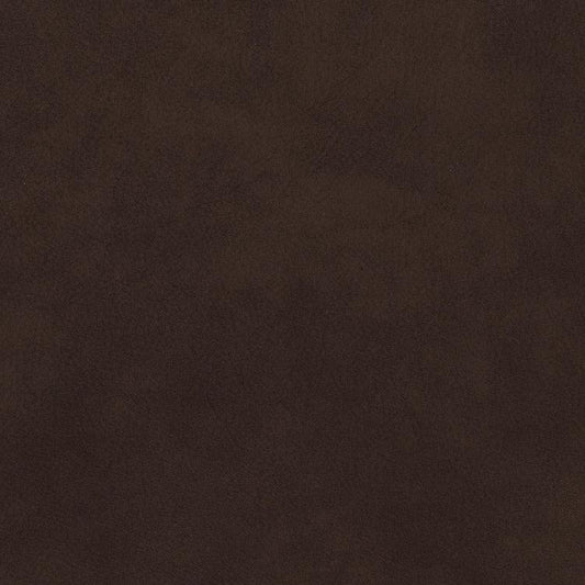 Leather Sample-Silk Cork Aniline Leather Samples Omnia 