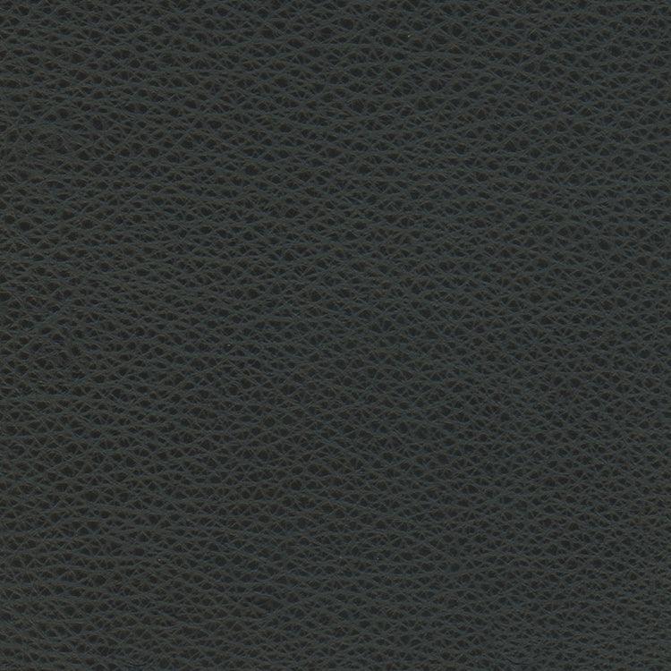 Leather Sample-Softsations Black Aniline Leather Samples Omnia