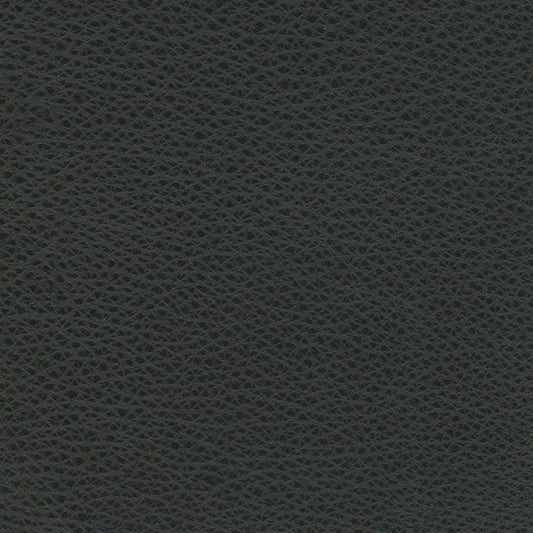 Leather Sample-Softsations Black Aniline Leather Samples Omnia 