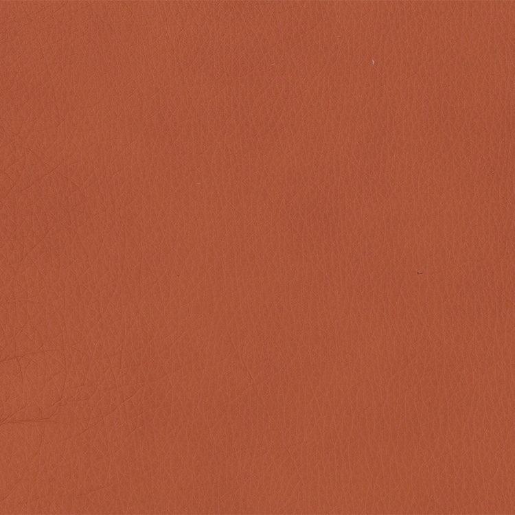 Leather Sample-Softsations Saddle Aniline Leather Samples Omnia