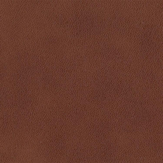 Leather Sample-Urban Maple Protected Leather Samples Omnia 