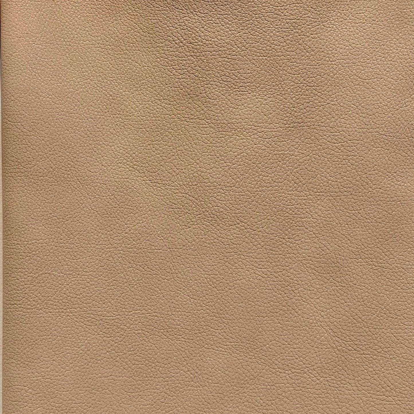 Leather Sample-Urban Wheat Protected Leather Samples Omnia