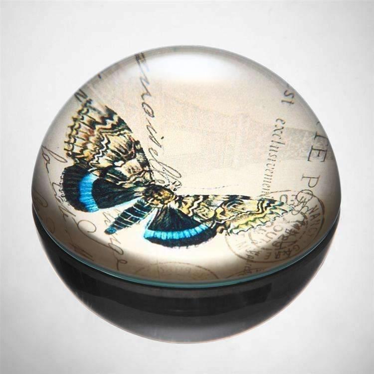 Blue and Yellow Butterfly Paperweight Decor SPI Home