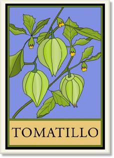 Stylized Craftsman Tomatillo Print Decor Wildflower Graphics