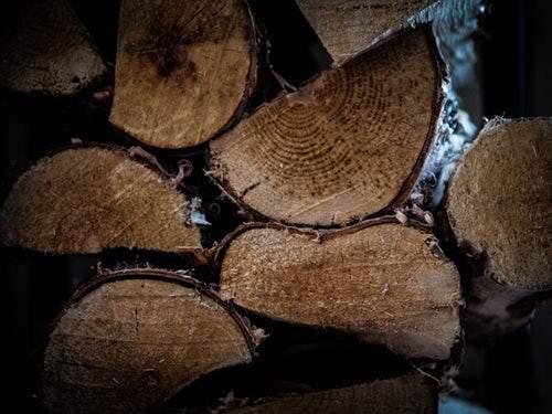 Which Wood is the Right Choice for Your Furniture?