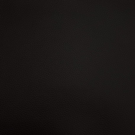 Leather Sample-Cashmere Black Protected Plus
