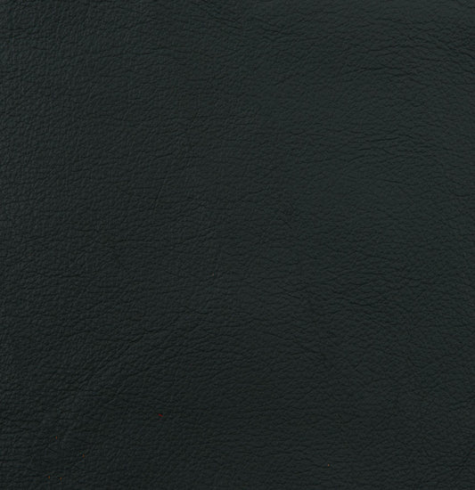Black Leather sample