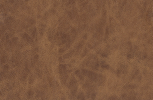 Tan Leather sample