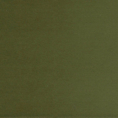 Fabric Sample- Mythic Olive