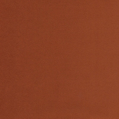 Fabric Sample- Mythic Rust