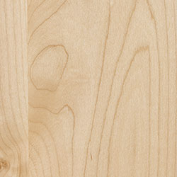 Amish Wood Sample - Maple - Natural