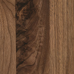 Amish Wood Sample - Walnut - Natural