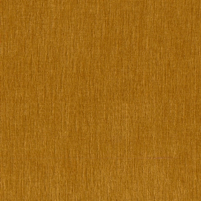 Fabric Sample- Tempest Gold