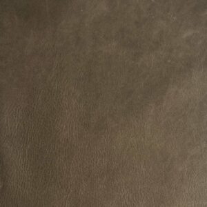 Leather Sample-Duran Fern Aniline Leather