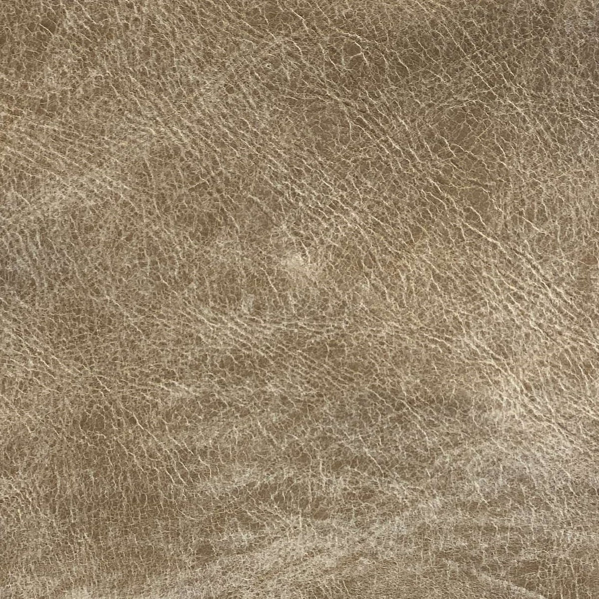 Leather Sample-Grand Canyon Bisque Aniline Leather