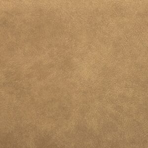 Leather Sample-Luminance Caribou Protected Plus