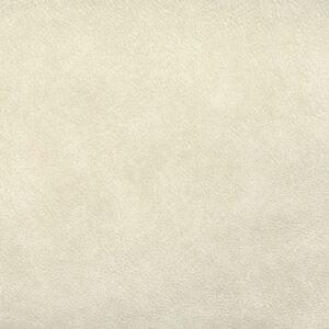 Leather Sample-Luminance Natural Protected Plus