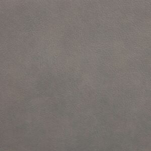 Leather Sample-Luminance Otter Protected Plus