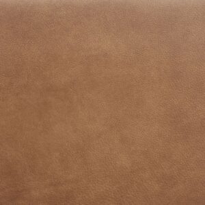 Leather Sample-Luminance Ranch Protected Plus