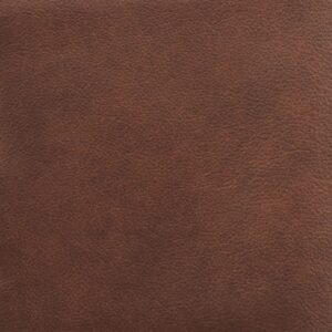 Leather Sample-Luminance Saddle Protected Plus