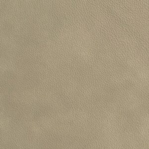 Leather Sample-Denver Glacier Protected Plus