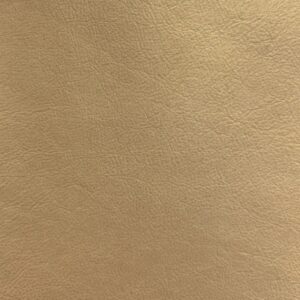 Leather Sample-Dixieland Frappe Aniline Leather