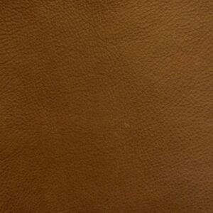 Leather Sample-Dixieland Pecan Aniline Leather