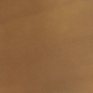 Leather Sample-Dixieland Ranch Aniline Leather