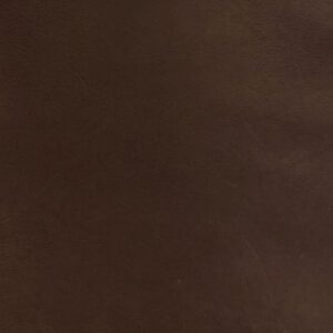 Leather Sample-Dixieland Tobacco Aniline Leather