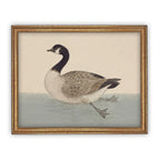 Vintage Framed Duck Nursery Canvas Art
