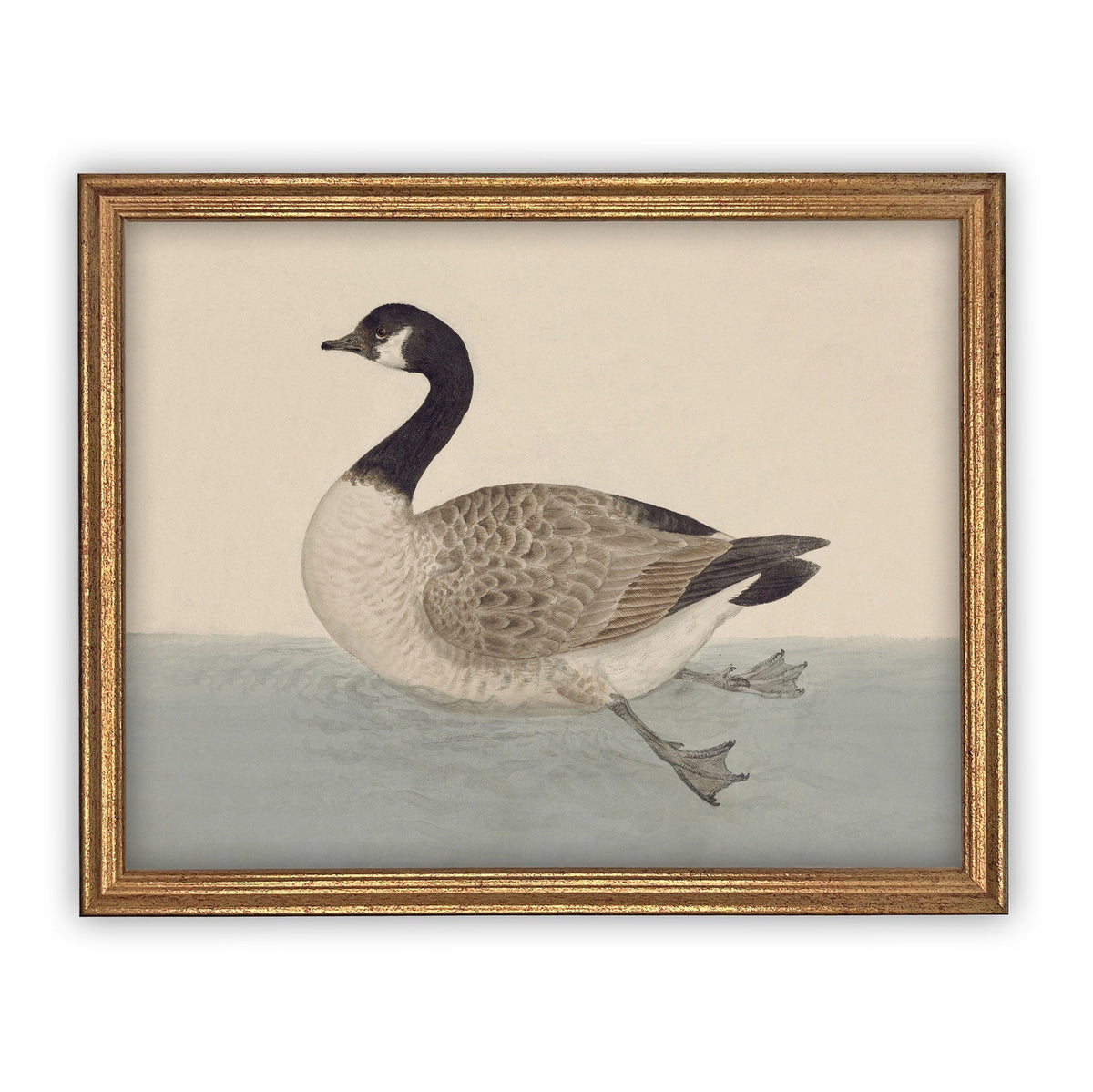 Vintage Framed Duck Nursery Canvas Art