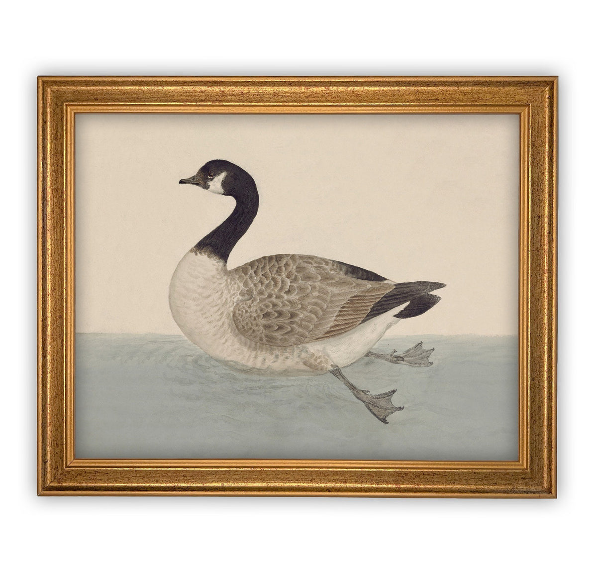 Vintage Framed Duck Nursery Canvas Art