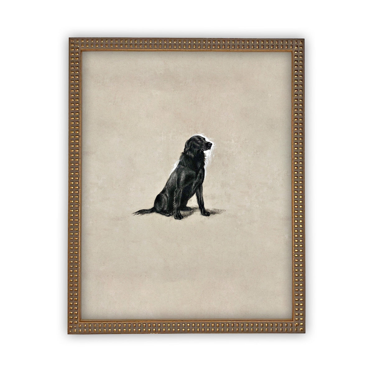 Vintage Framed Canvas Dog Art for Nursery