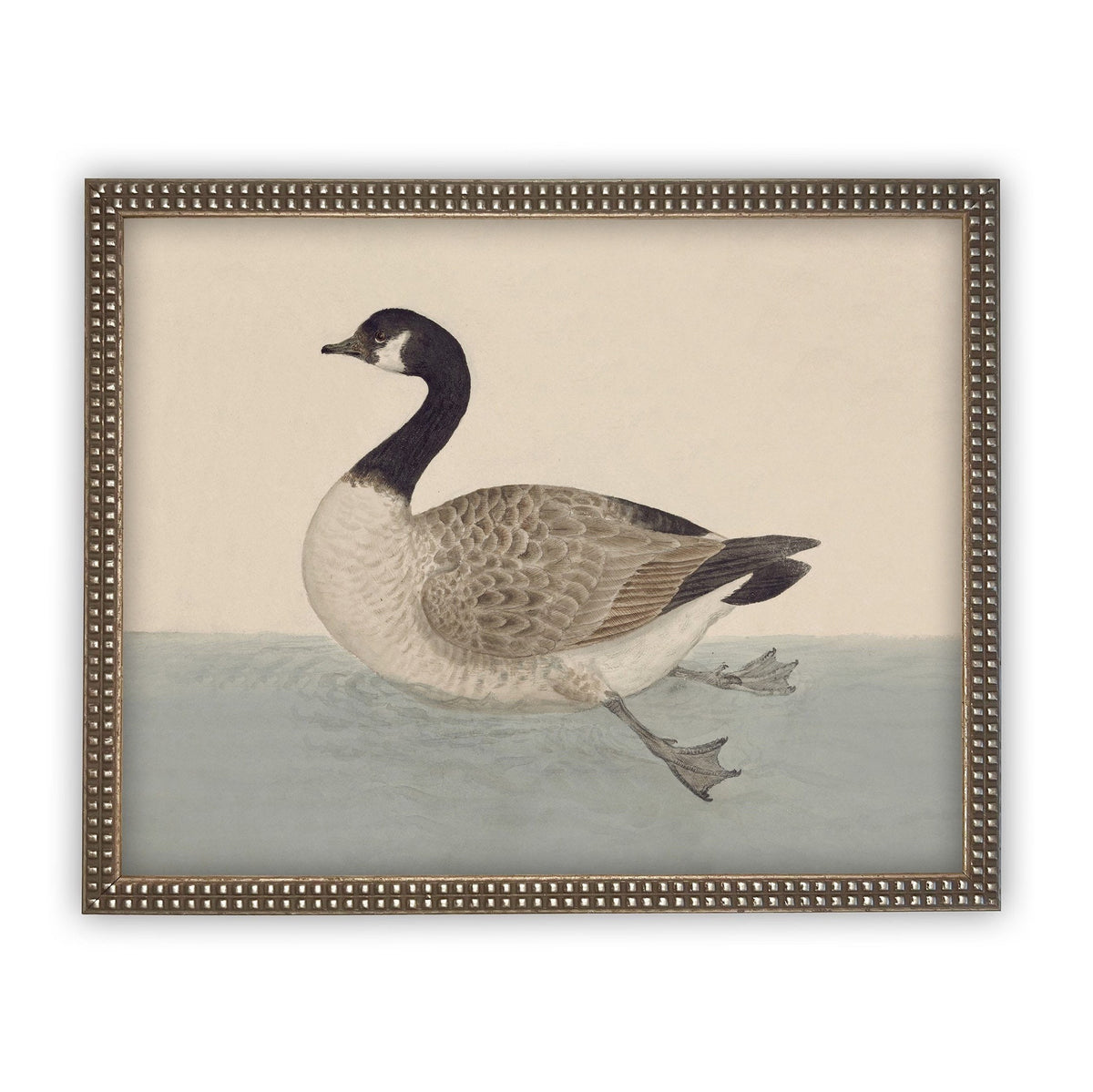 Vintage Framed Duck Nursery Canvas Art