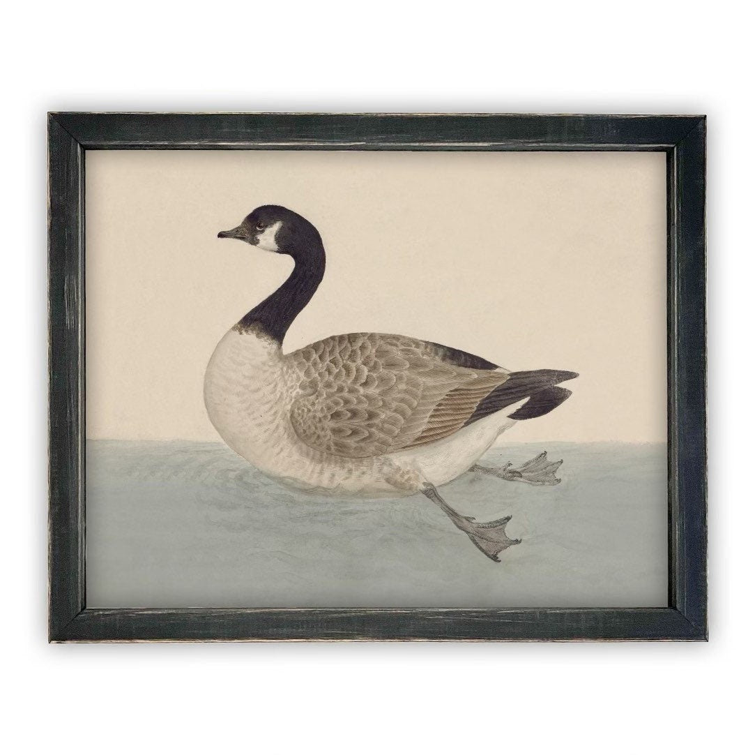 Vintage Framed Duck Nursery Canvas Art