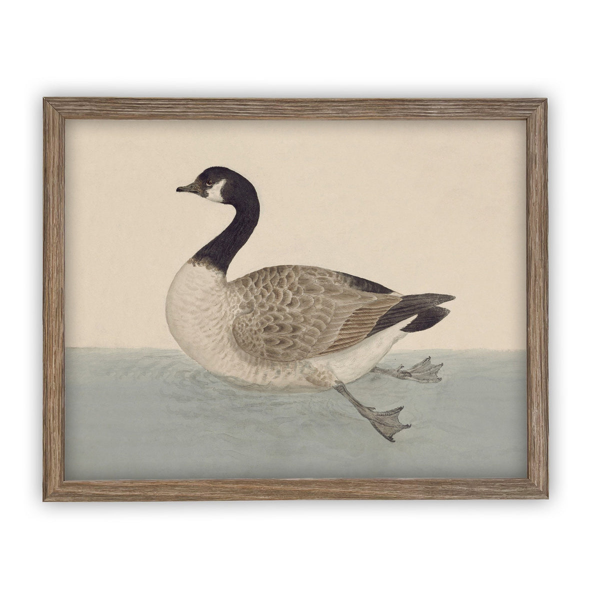 Vintage Framed Duck Nursery Canvas Art