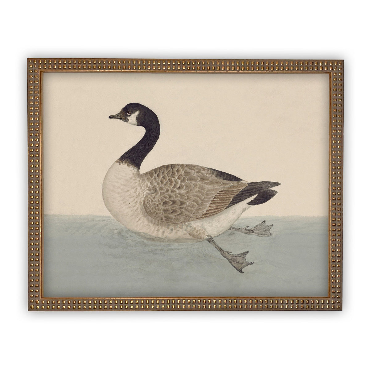 Vintage Framed Duck Nursery Canvas Art