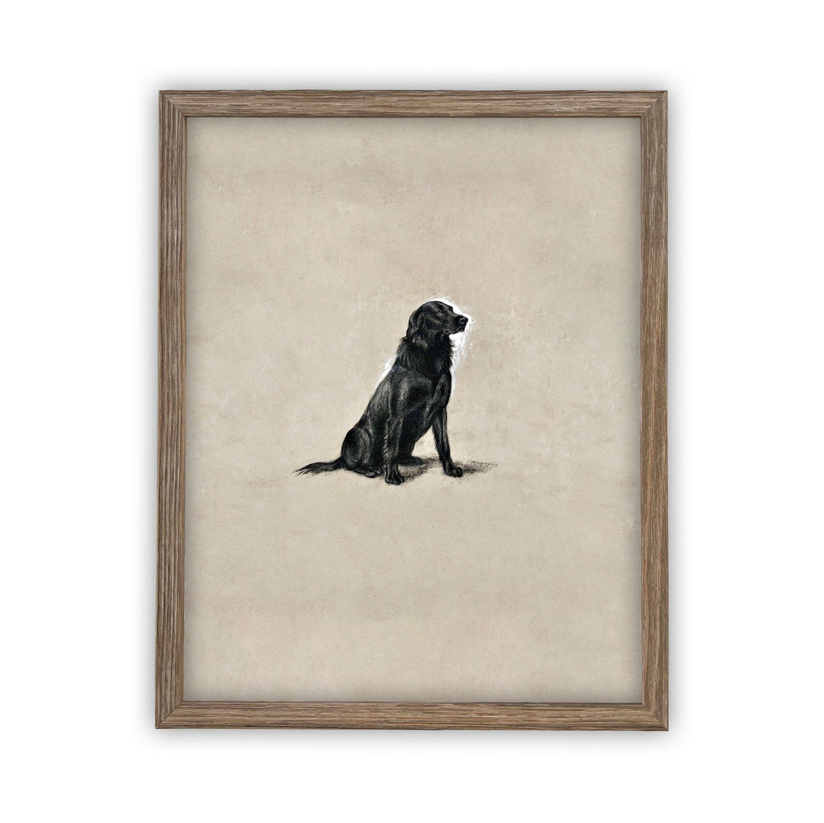 Vintage Framed Canvas Dog Art for Nursery