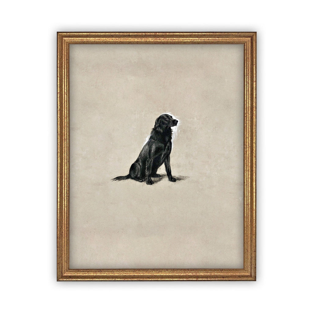 Vintage Framed Canvas Dog Art for Nursery