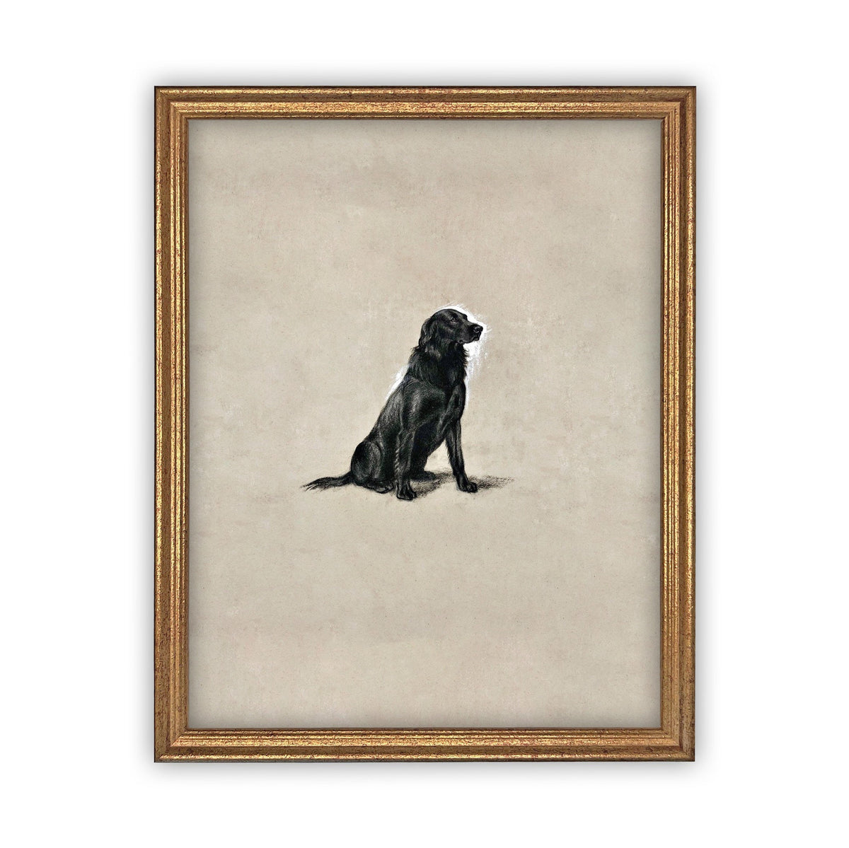 Vintage Framed Canvas Dog Art for Nursery